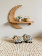 Sheep Wool Felt Brooch