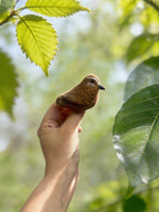 Fat Bird Wool Felt Brooch